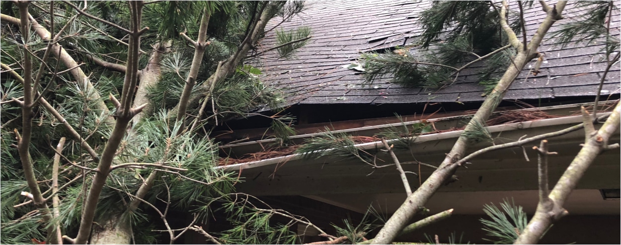 Damage to a roof caused by a fallen tree.