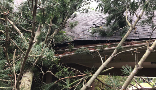 Damage to a roof caused by a fallen tree.