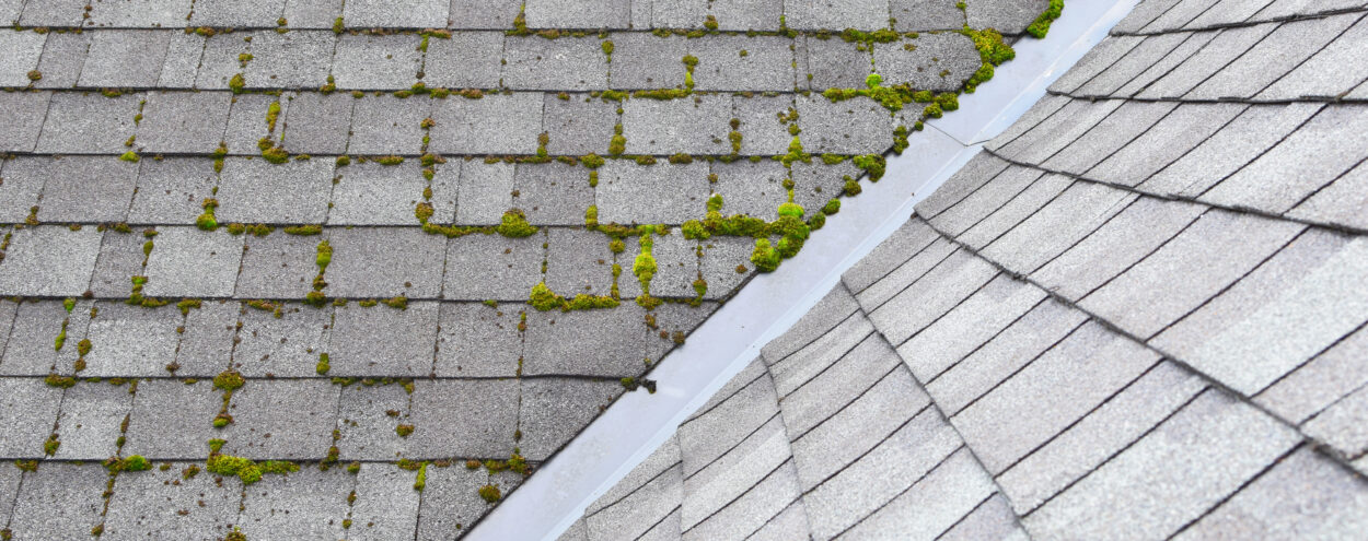 Different two parts of grey bitumen asphalt shingles roof. There is moss growing on one slope.