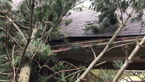 Roof with severe storm damage