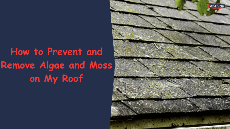 How-to-Prevent-and-Remove-Algae-and-Moss-on-My-Roof