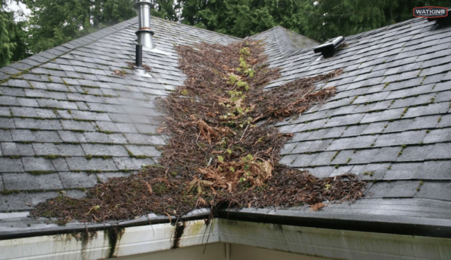 The-Big-Reasons-Why-Keeping-Your-Roof-Clear-of-Debris-Is-Crucial